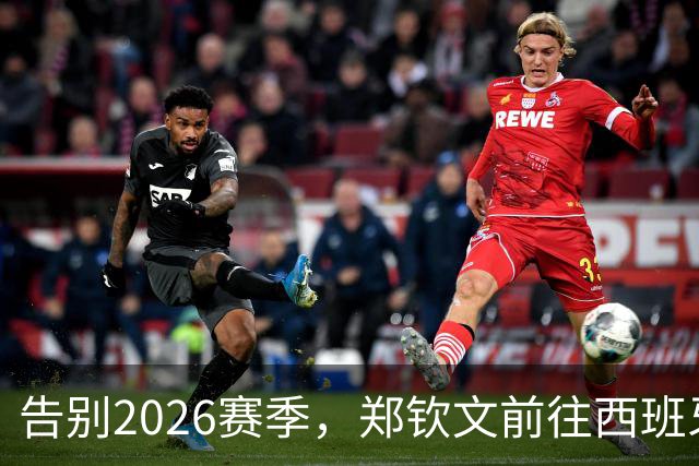 告别2026赛季,郑钦文前往西班牙集训为新赛季蓄力