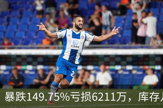 暴跌149.75%亏损6211万,库存几乎翻番!电驴界爱马仕卖不动了?