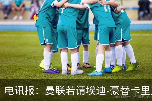 电讯报:曼联若请埃迪-豪替卡里克,需向纽卡支付最多600万镑