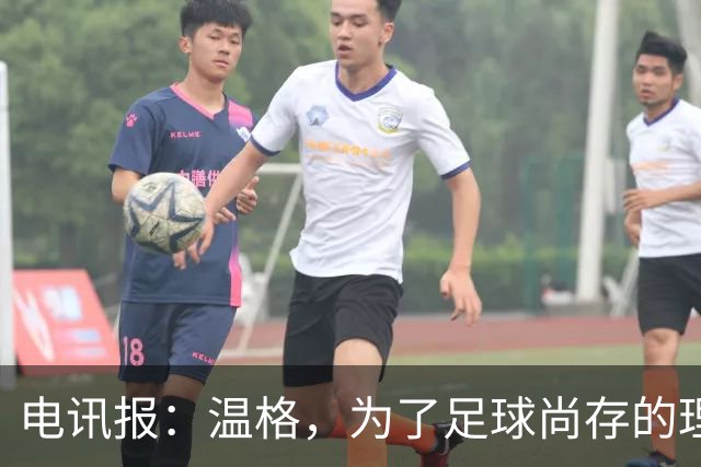 电讯报：温格，为了足球尚存的理智，请参加下届国际足联主席竞选
